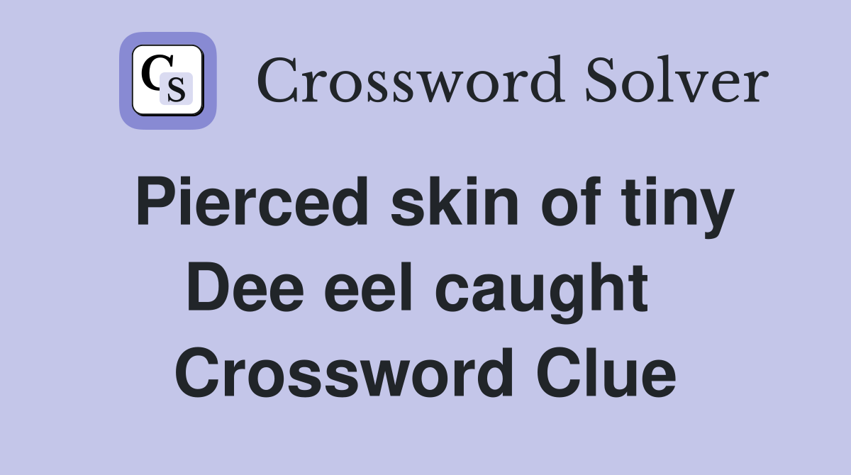 Pierced skin of tiny Dee eel caught  Crossword Clue