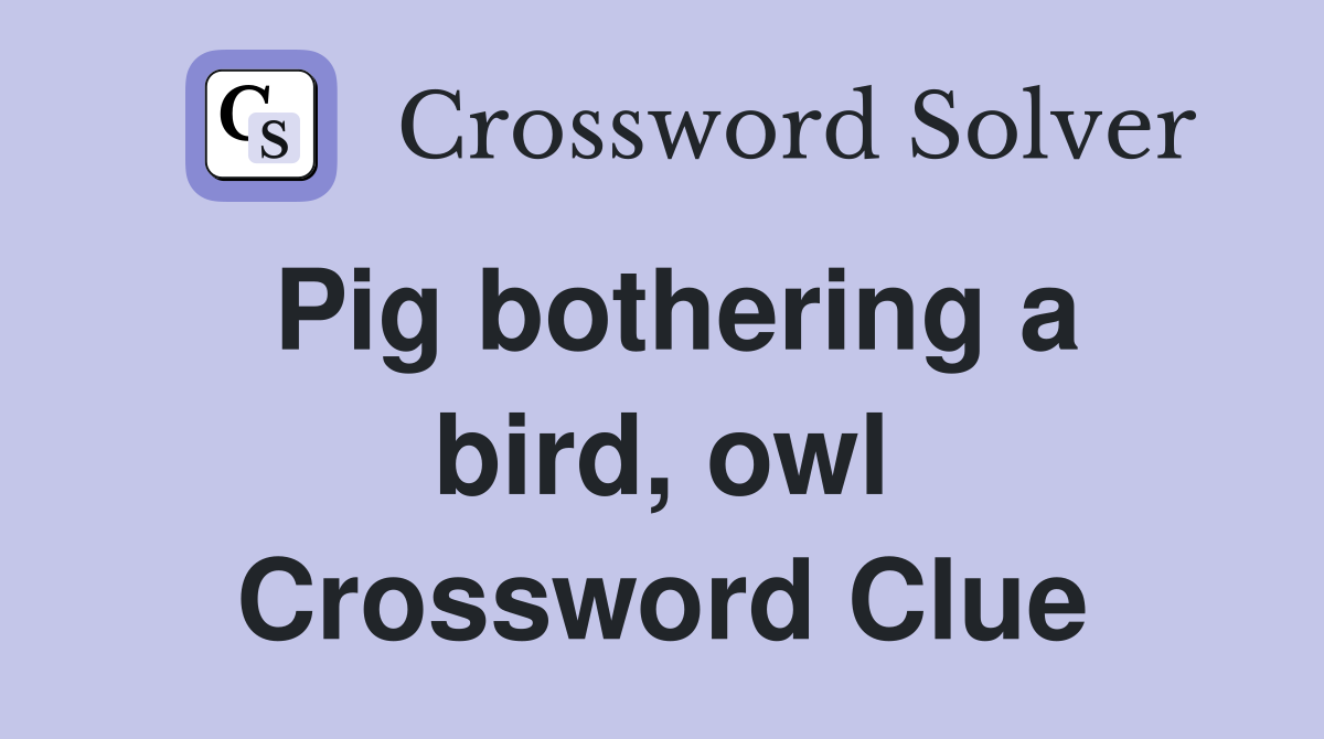 Pig bothering a bird, owl Crossword Clue