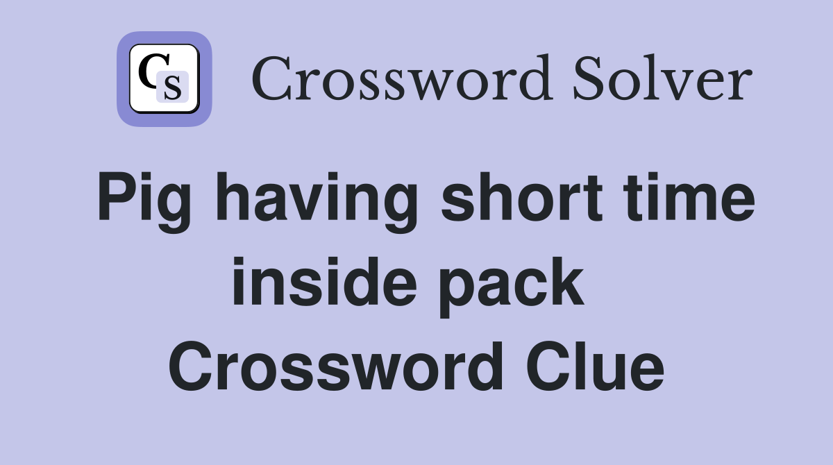 Pig having short time inside pack  Crossword Clue