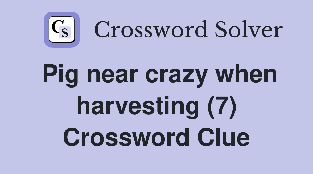 Pig near crazy when harvesting (7) Crossword Clue