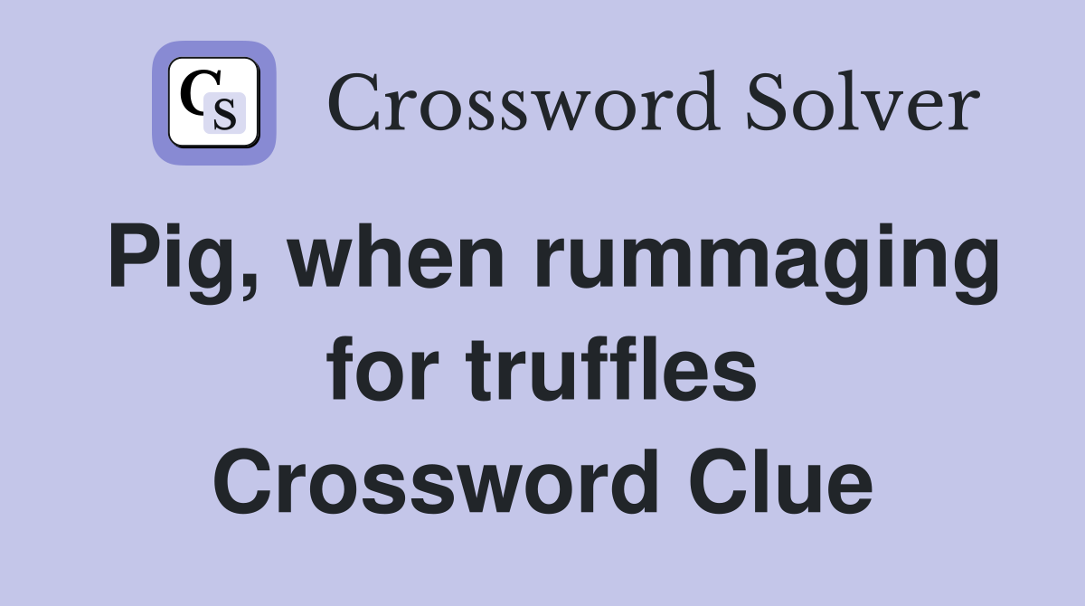 Pig, when rummaging for truffles Crossword Clue