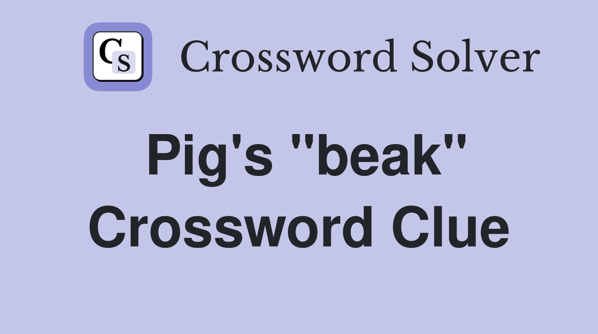 Pig's "beak" Crossword Clue