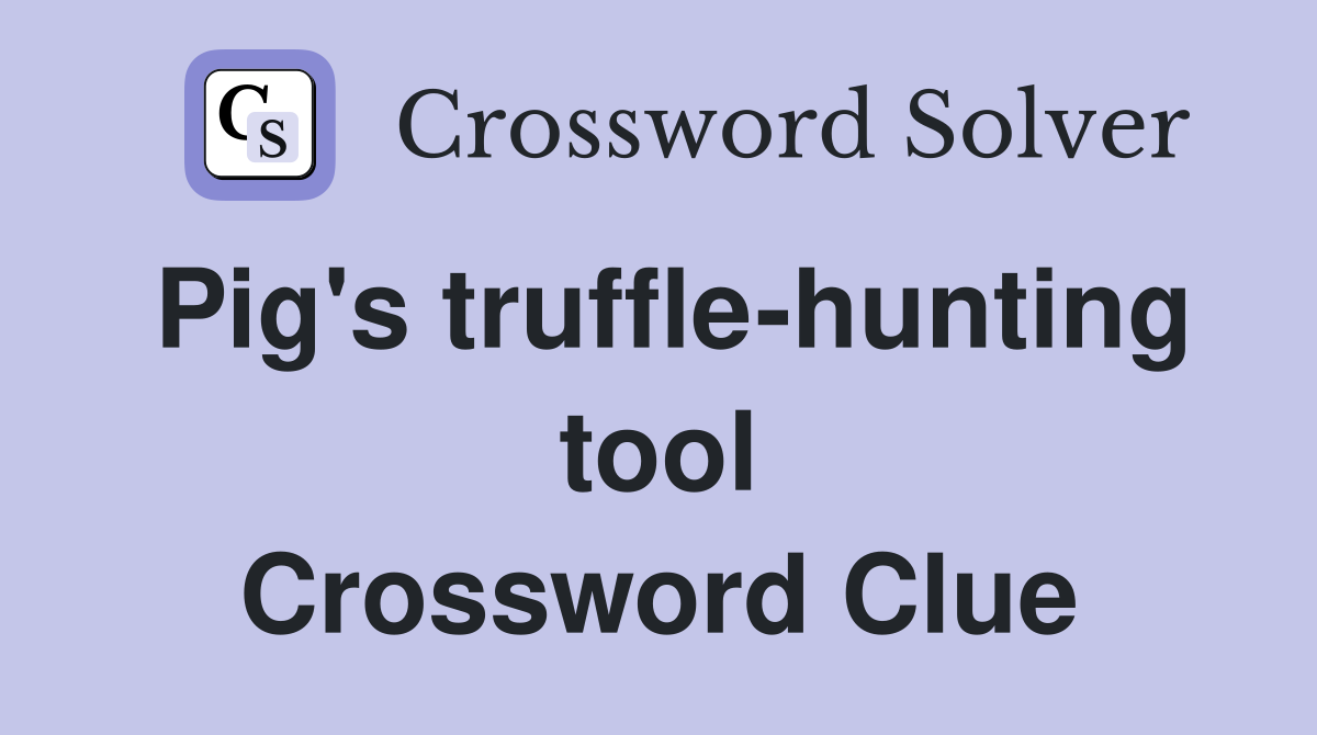 Pig's truffle-hunting tool Crossword Clue