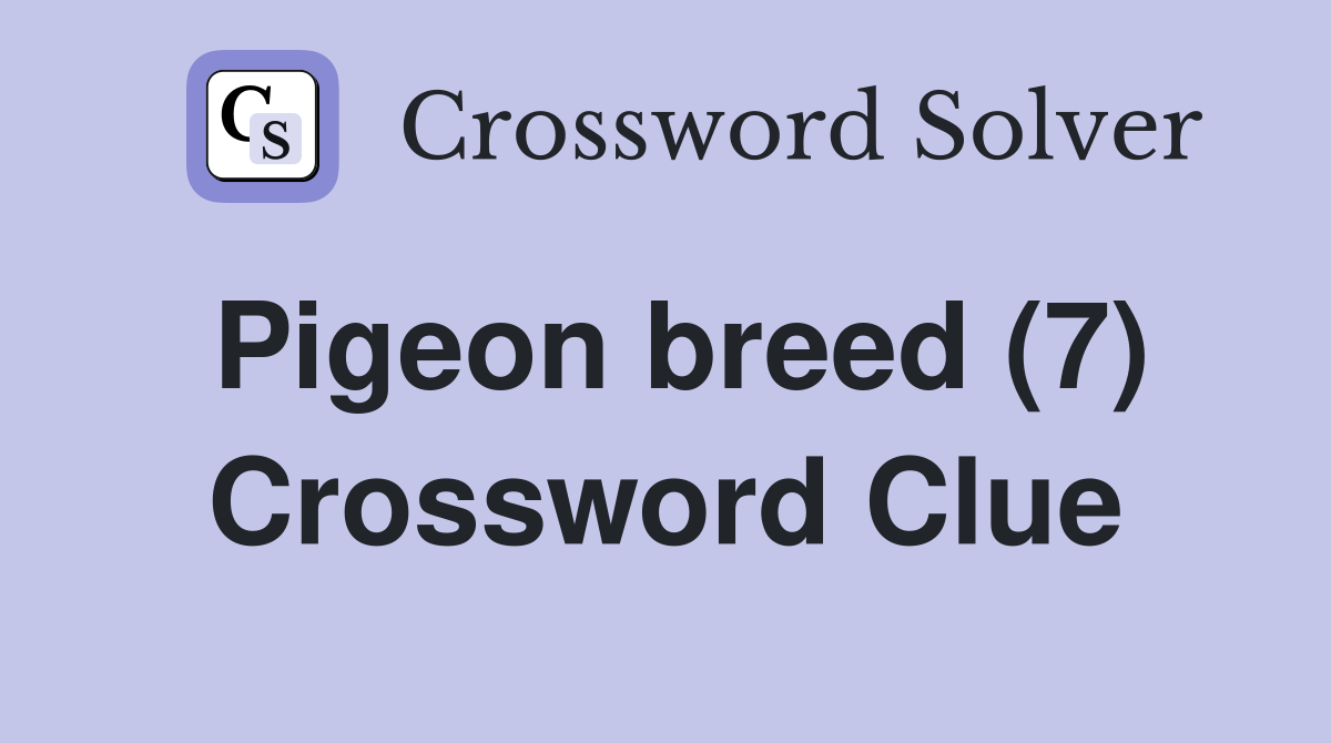 Pigeon breed (7) Crossword Clue