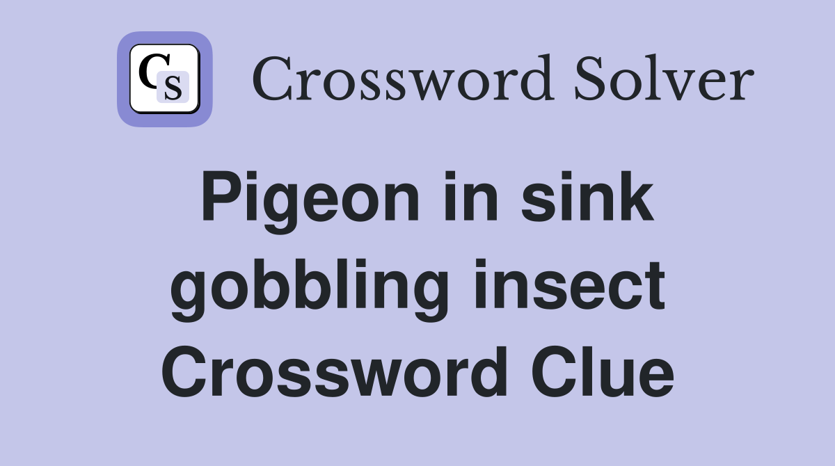 Pigeon in sink gobbling insect Crossword Clue