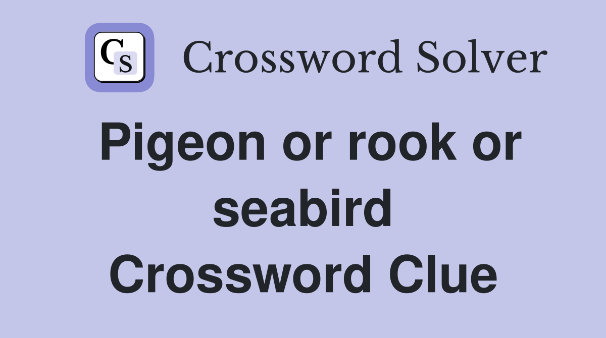 Pigeon or rook or seabird Crossword Clue