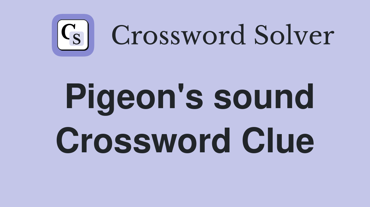 Pigeon's sound Crossword Clue