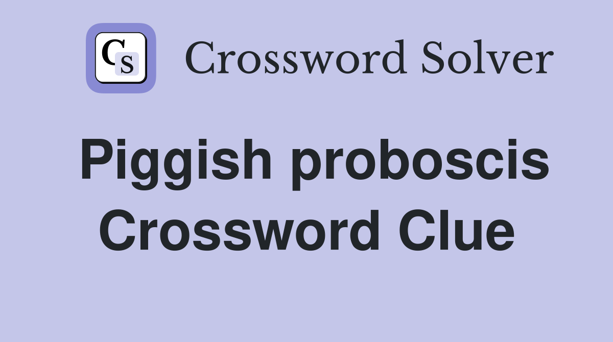 Piggish proboscis Crossword Clue
