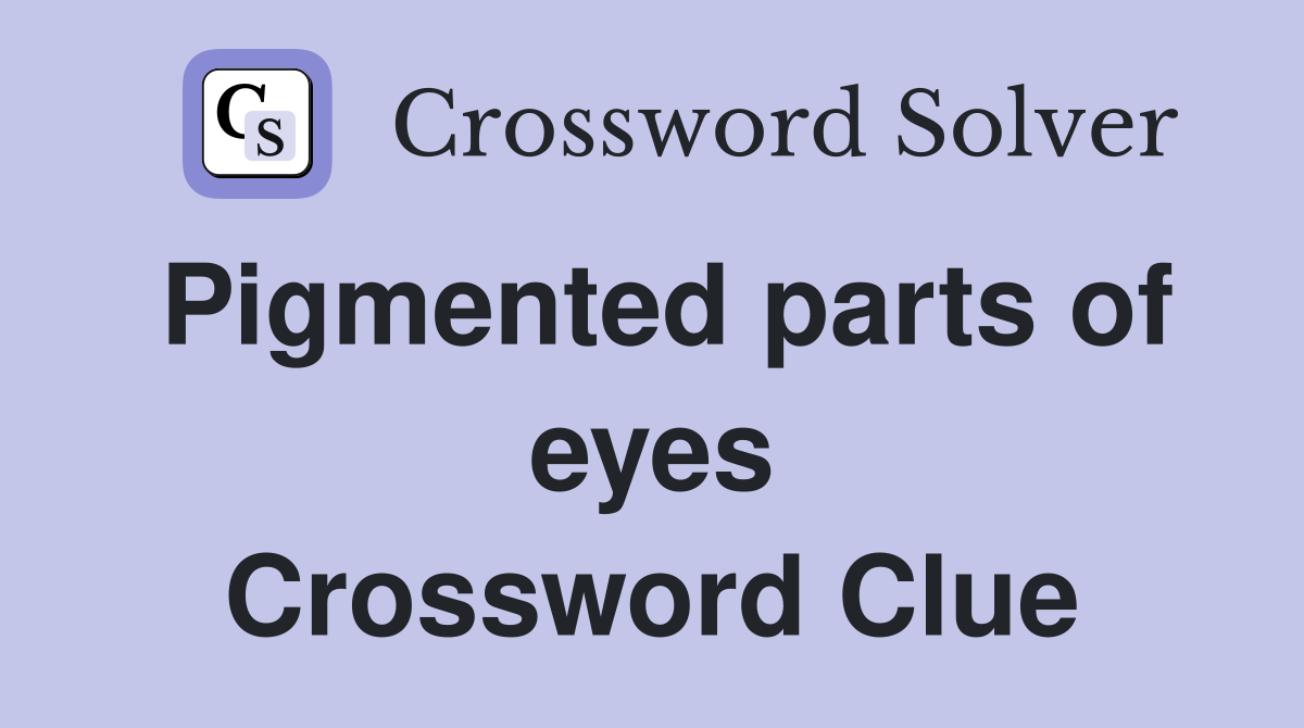 Pigmented parts of eyes Crossword Clue