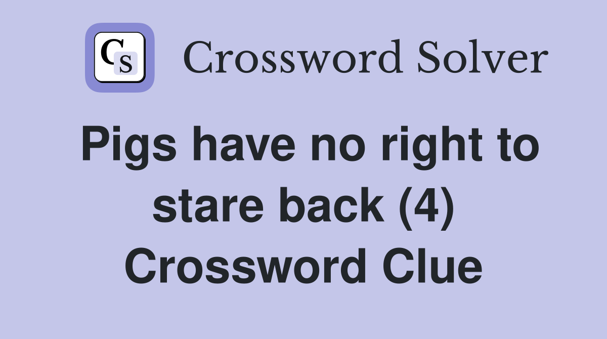 Pigs have no right to stare back (4) Crossword Clue