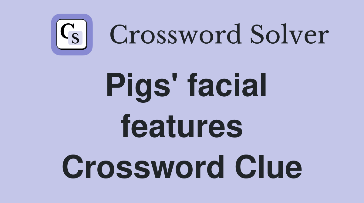 Pigs' facial features Crossword Clue