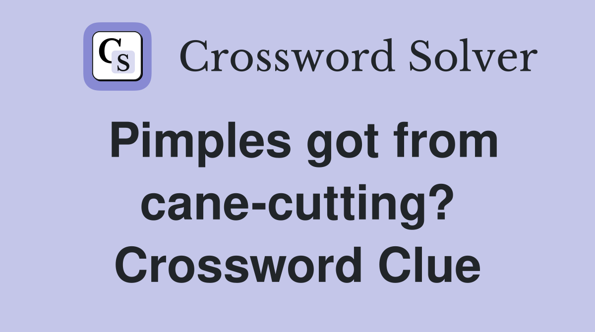 Pimples got from cane-cutting? Crossword Clue