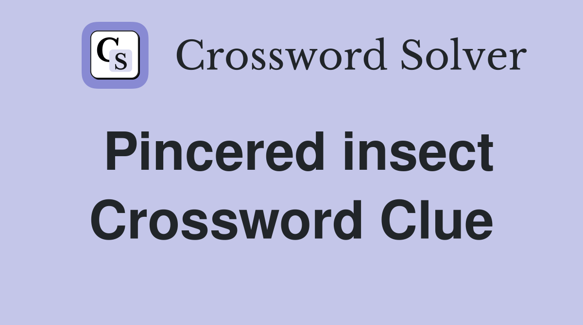 Pincered insect Crossword Clue