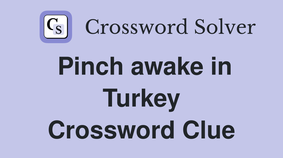 Pinch awake in Turkey Crossword Clue
