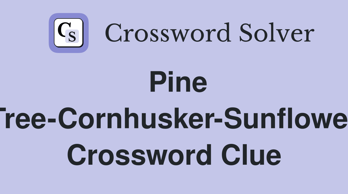 Pine Tree-Cornhusker-Sunflower Crossword Clue