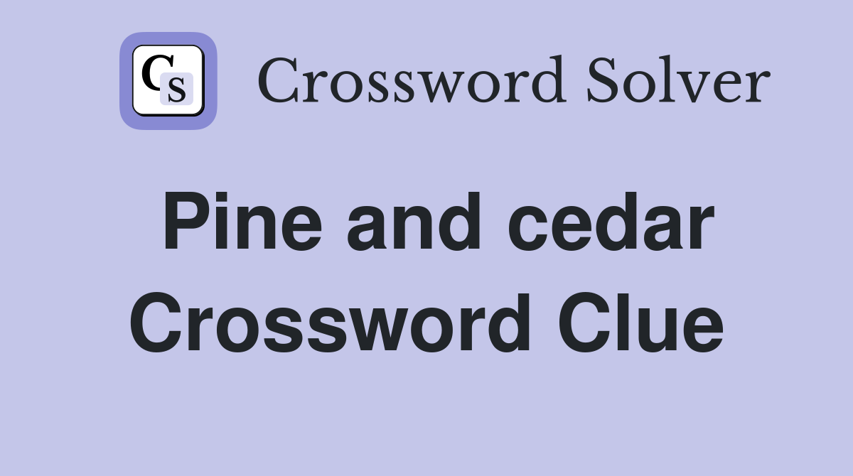 Pine and cedar Crossword Clue