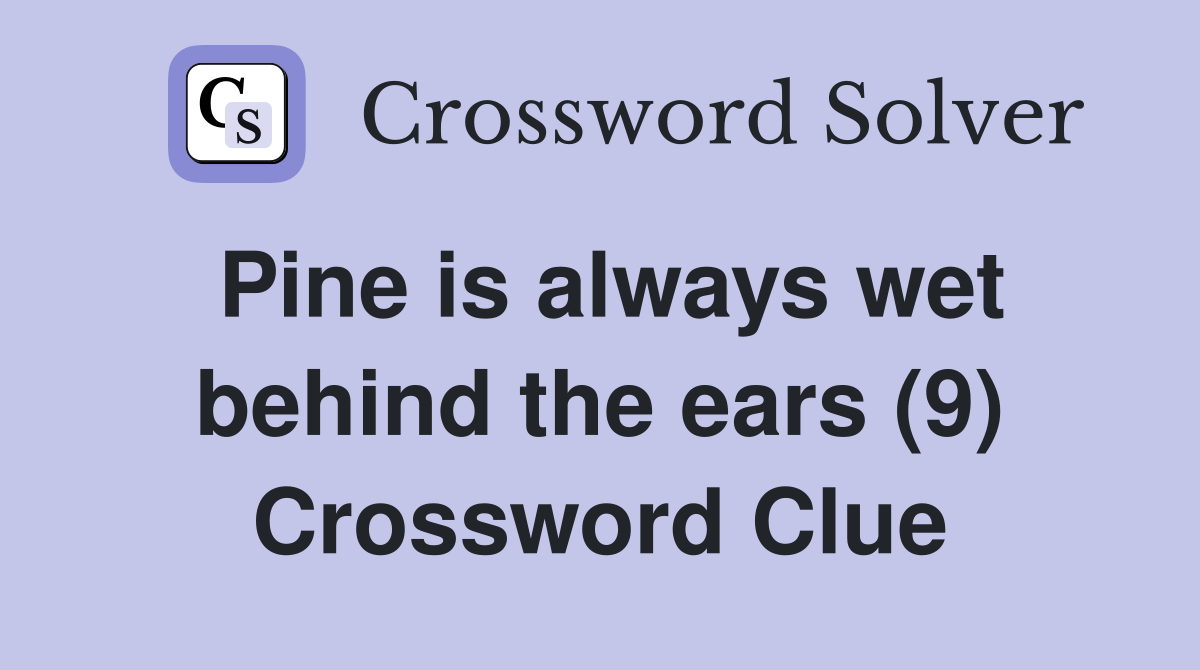 Pine is always wet behind the ears (9) Crossword Clue