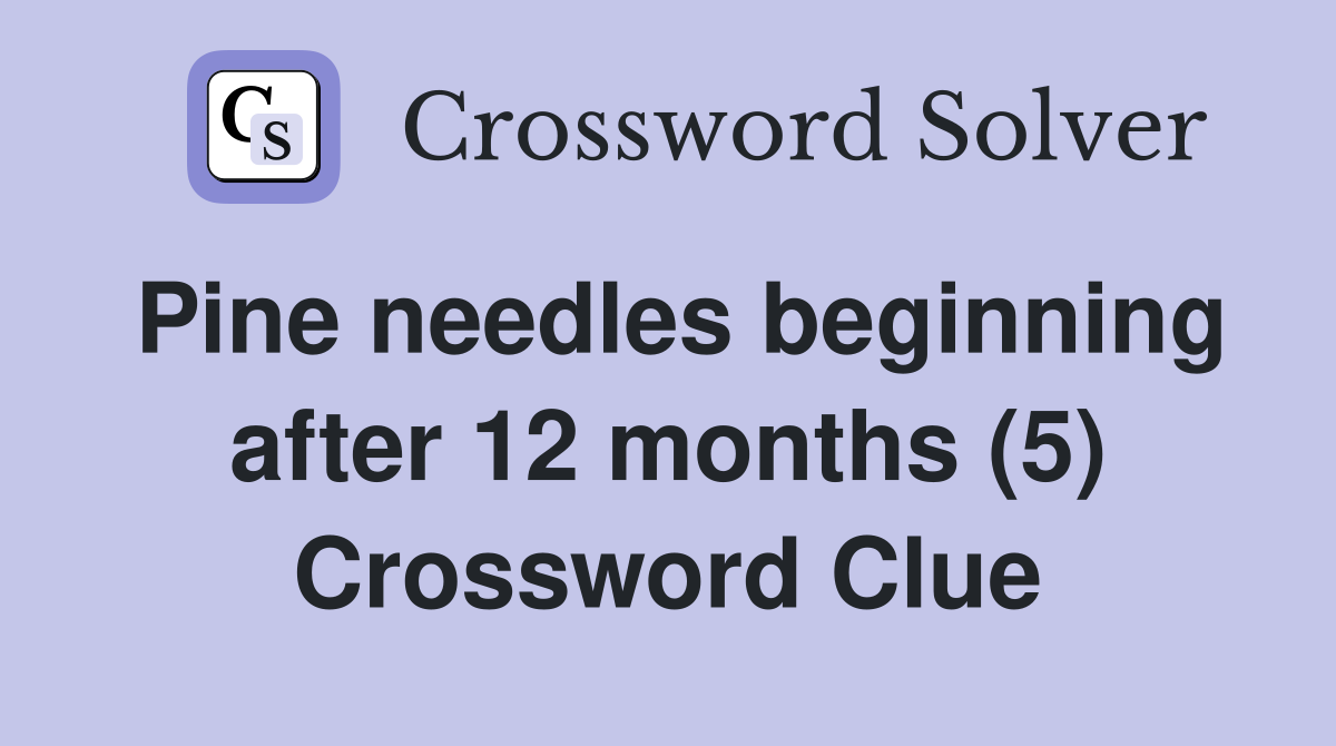 Pine needles beginning after 12 months (5) Crossword Clue