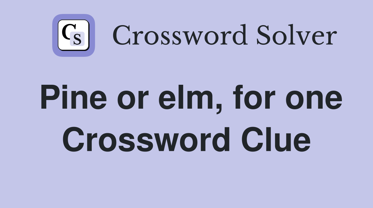 Pine or elm, for one Crossword Clue