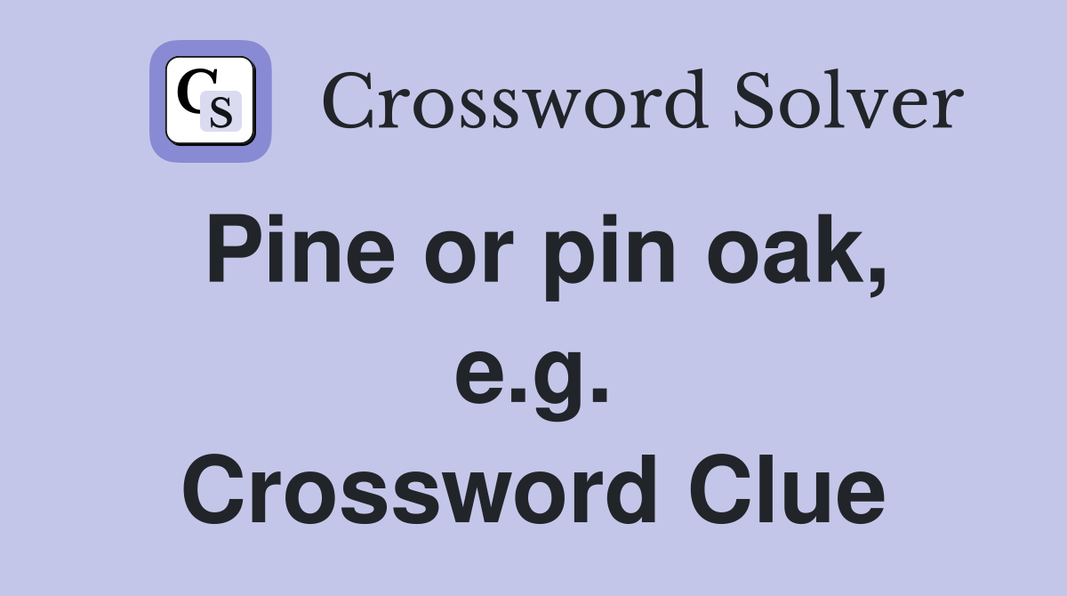 Pine or pin oak, e.g. Crossword Clue