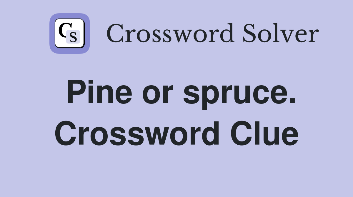 Pine or spruce. Crossword Clue