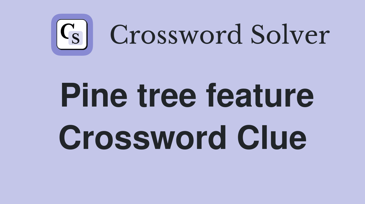 Pine tree feature Crossword Clue