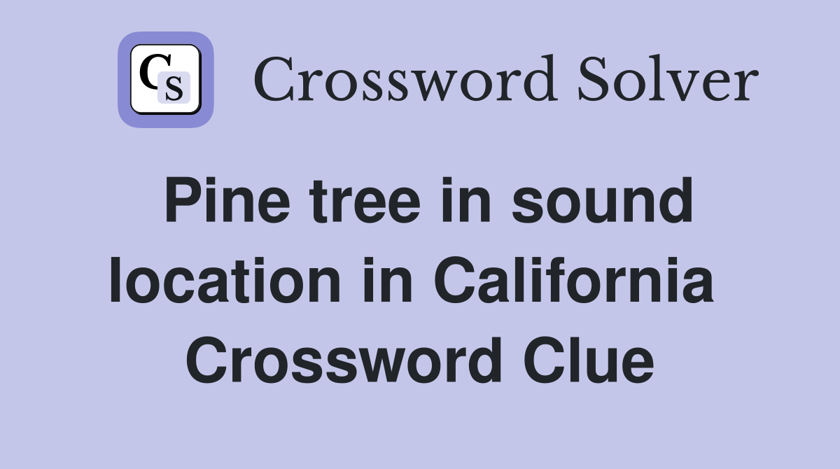 Pine tree in sound location in California  Crossword Clue