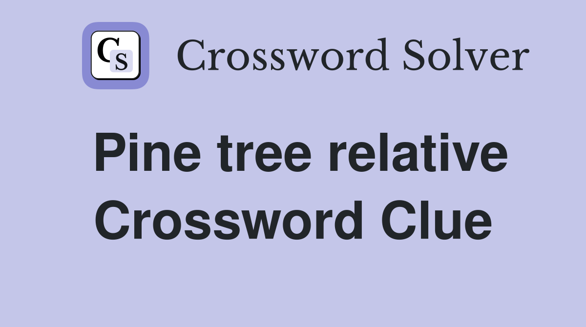 Pine tree relative Crossword Clue