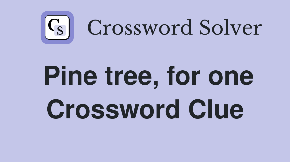 Pine tree, for one Crossword Clue