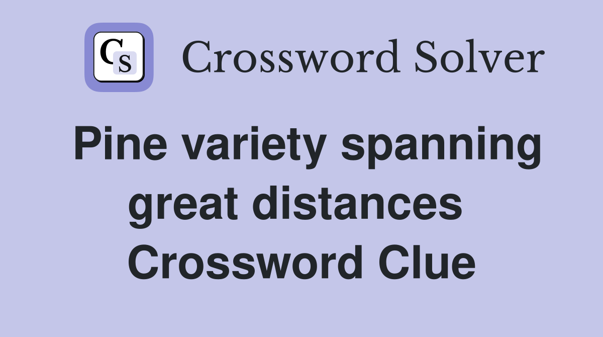 Pine variety spanning great distances  Crossword Clue