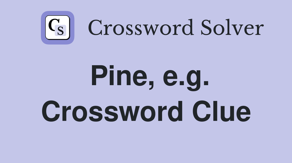 Pine, e.g. Crossword Clue