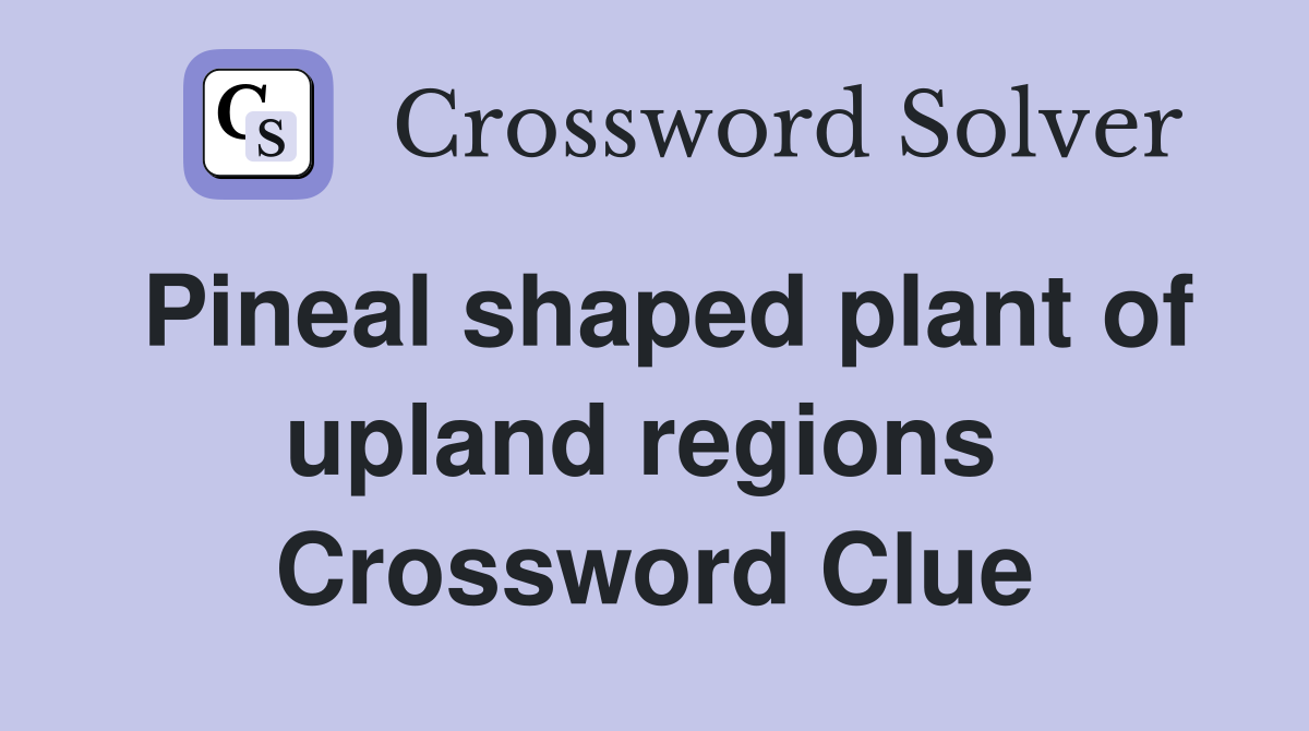 Pineal shaped plant of upland regions  Crossword Clue