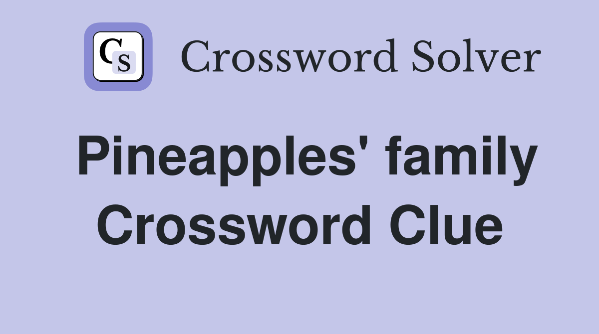 Pineapples' family Crossword Clue
