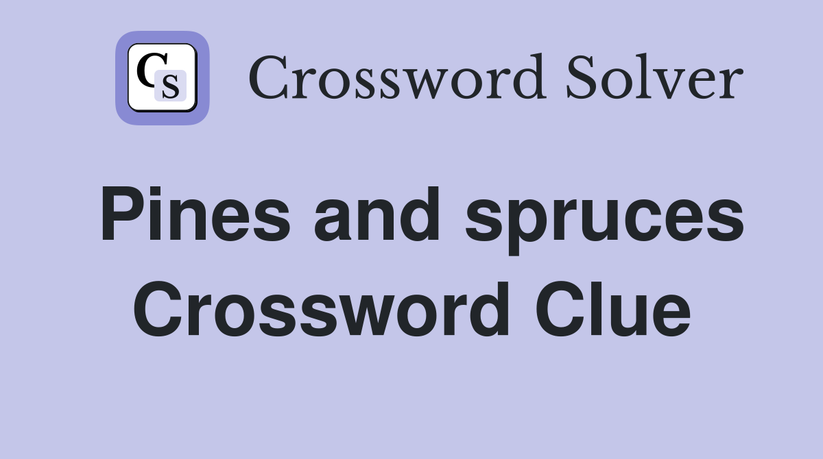 Pines and spruces Crossword Clue