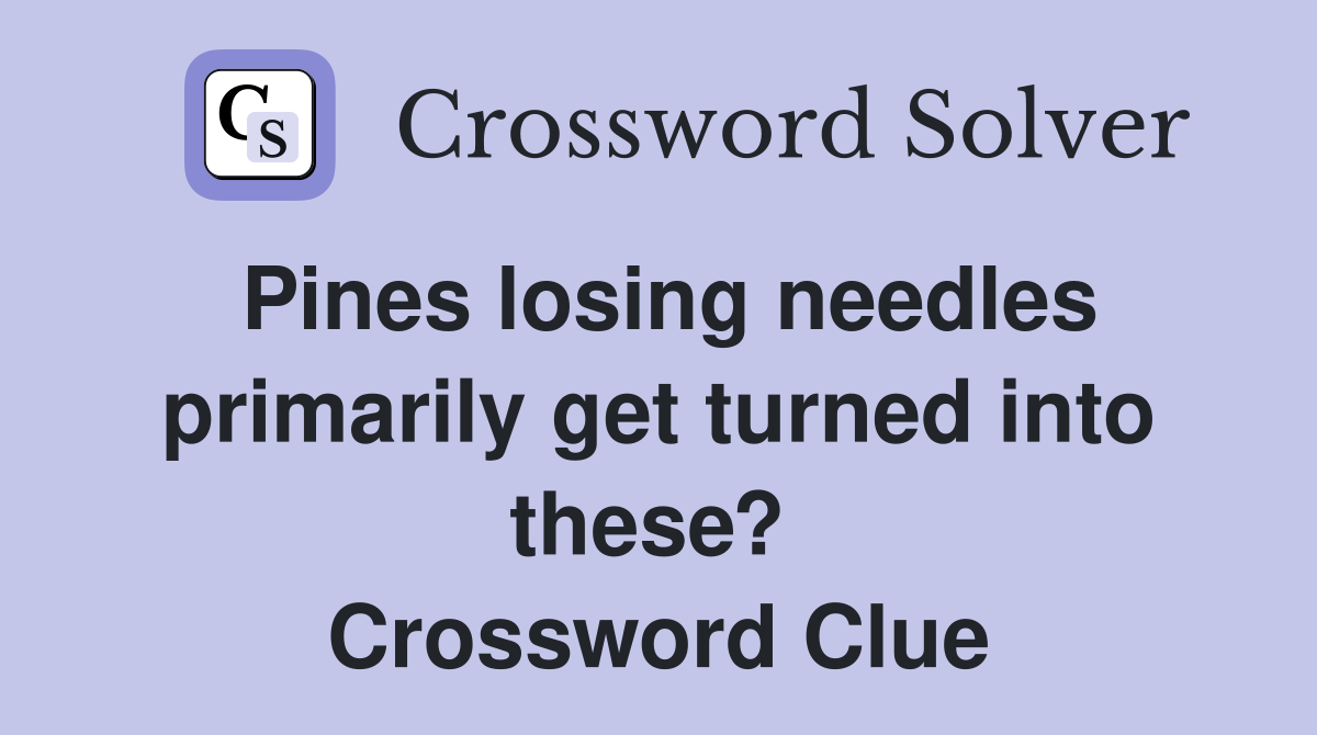 Pines losing needles primarily get turned into these?  Crossword Clue