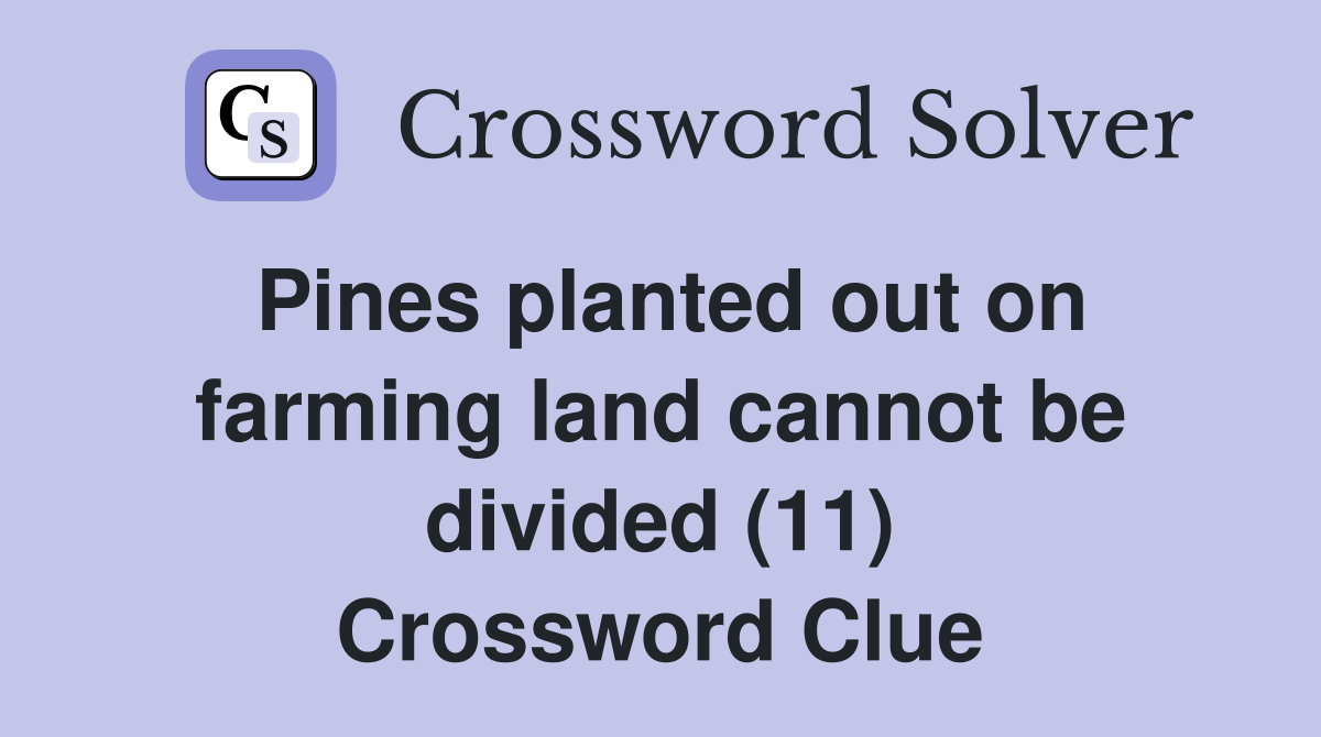 Pines planted out on farming land cannot be divided (11) Crossword Clue