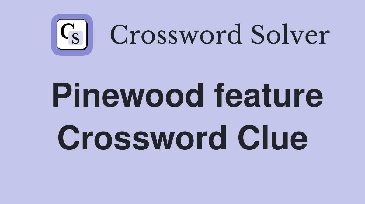 Pinewood feature Crossword Clue