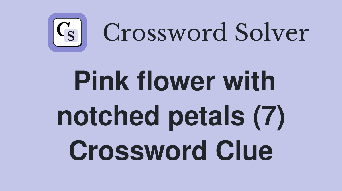 Pink flower with notched petals (7) Crossword Clue
