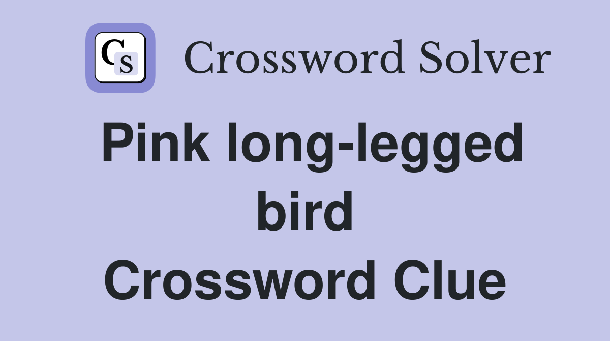 Pink long-legged bird Crossword Clue