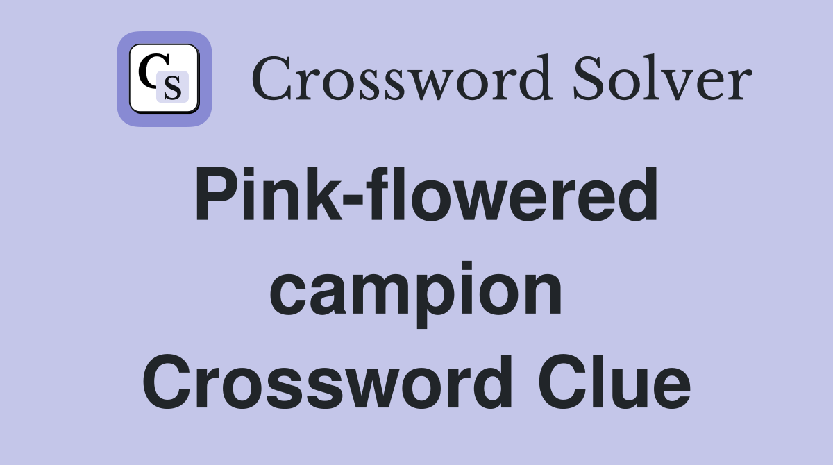 Pink-flowered campion Crossword Clue