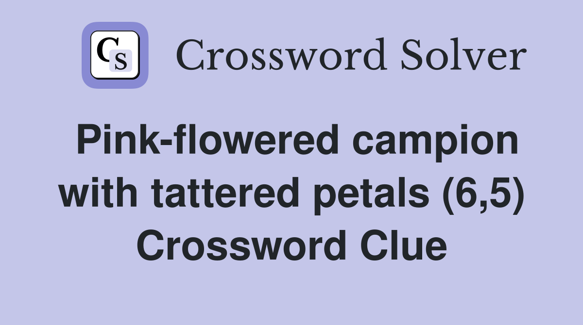 Pink-flowered campion with tattered petals (6,5) Crossword Clue