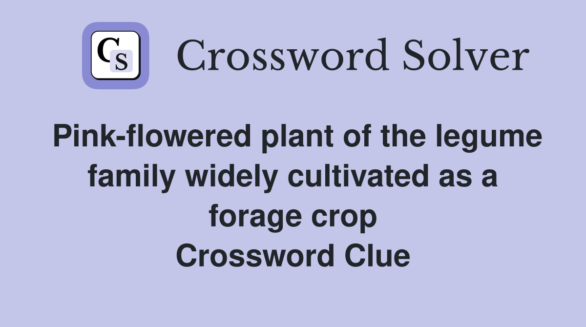 Pink-flowered plant of the legume family widely cultivated as a forage crop Crossword Clue