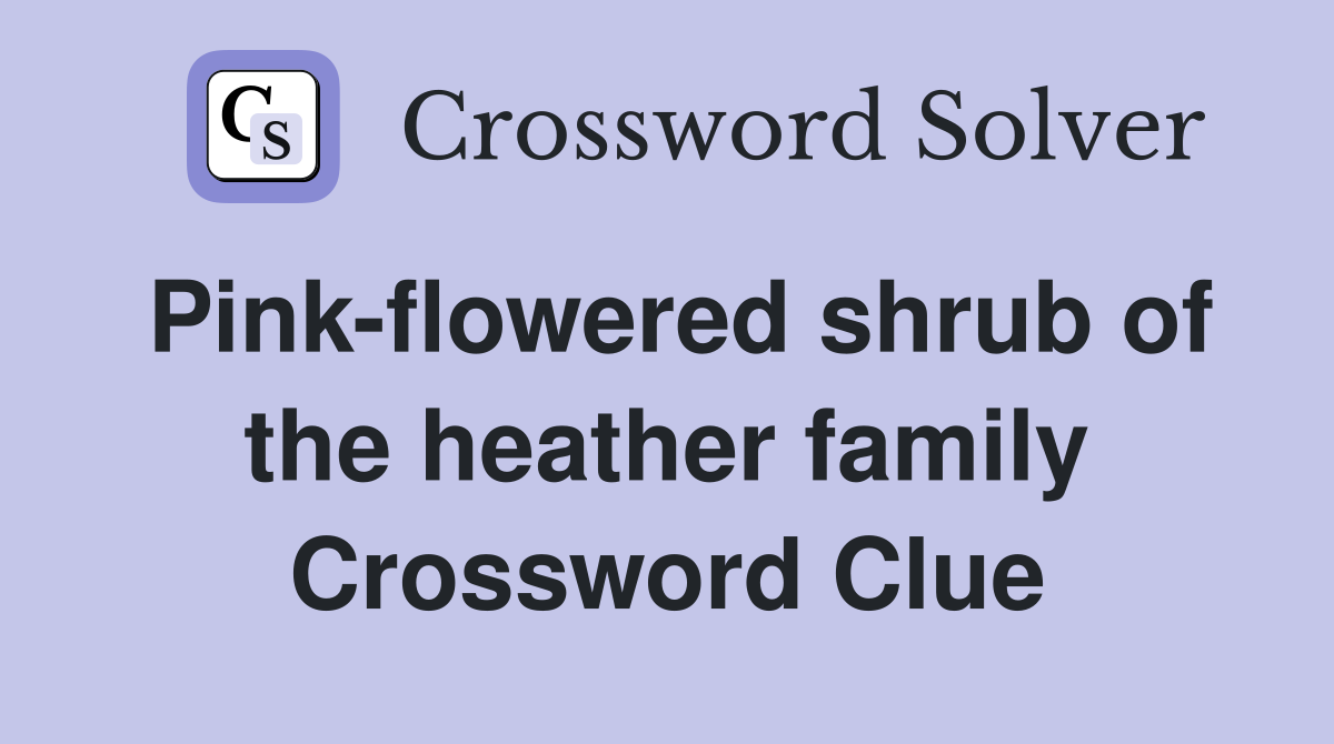Pink-flowered shrub of the heather family Crossword Clue