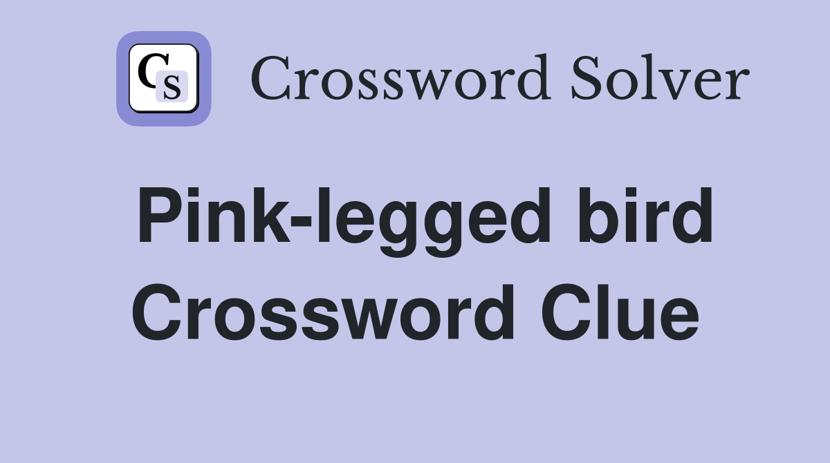 Pink-legged bird Crossword Clue