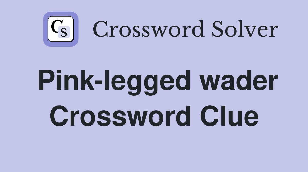 Pink-legged wader Crossword Clue