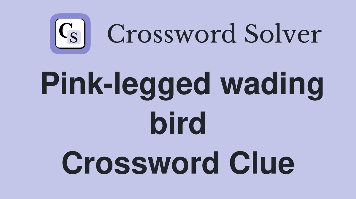 Pink-legged wading bird Crossword Clue