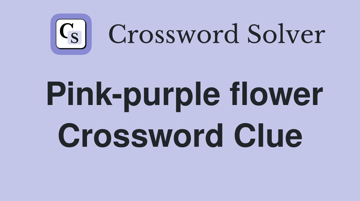 Pink-purple flower Crossword Clue