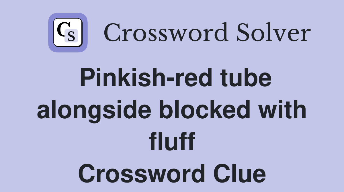 Pinkish-red tube alongside blocked with fluff Crossword Clue