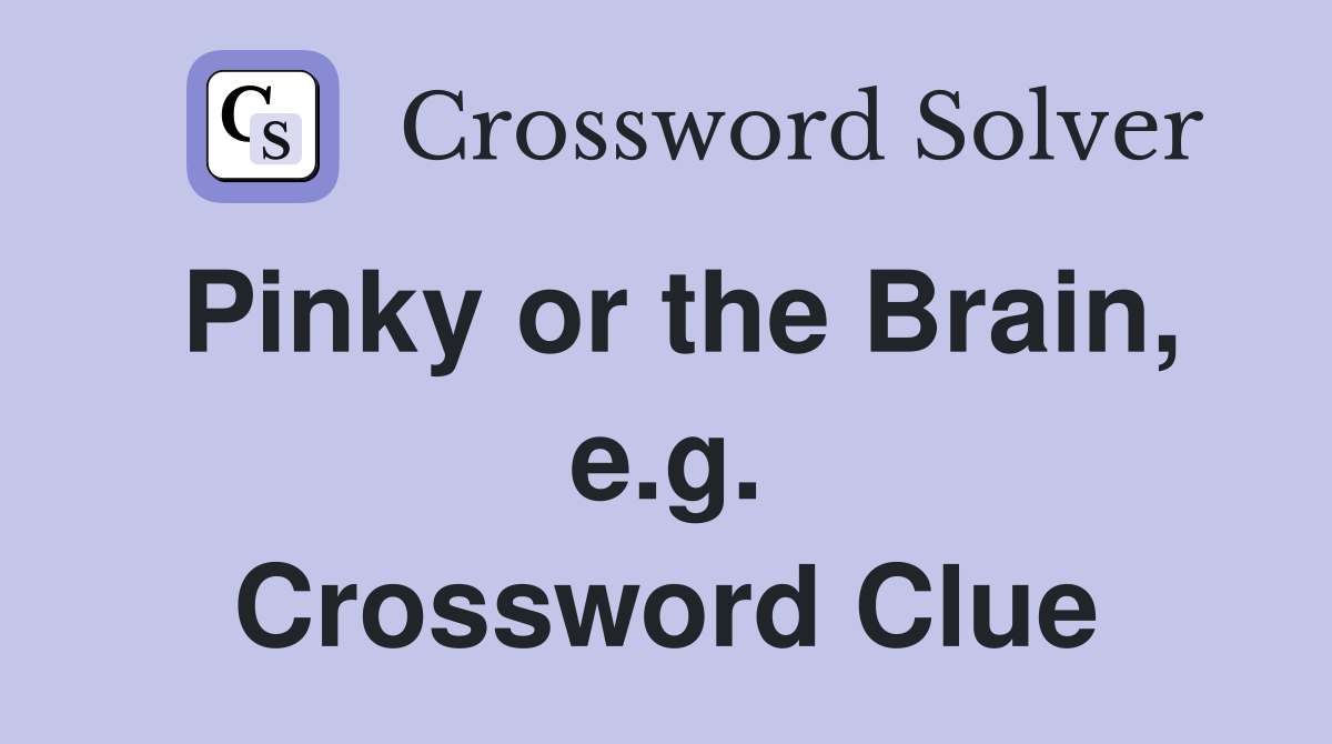 Pinky or the Brain, e.g. Crossword Clue