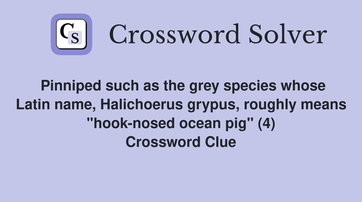 Pinniped such as the grey species whose Latin name, Halichoerus grypus, roughly means "hook-nosed ocean pig" (4) Crossword Clue